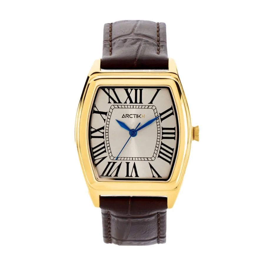 ARCTIK Montre Globe Argenté