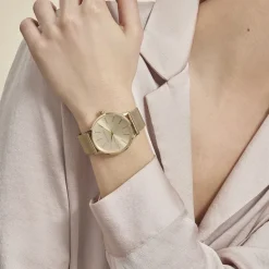 Montre 2 Tons Ax5536-ARMANI EXCHANGE