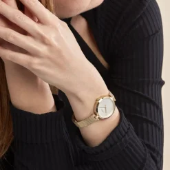 Montre Boss Majesty Argenté-HUGO BOSS New