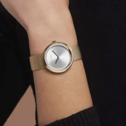 CALVIN KLEIN Montre Twist Argenté