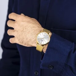 Montre 39 Argenté-FESTINA SWISS MADE Discount