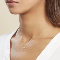 Pendentif Egide Fer A Cheval Or Jaune-Histoire d'Or Outlet