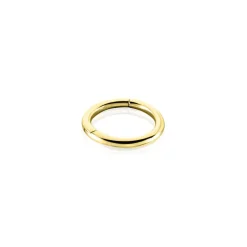 Histoire d'Or Piercing D'oreille Aloes